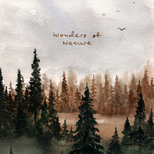 沙奈朵开腿做❌同人漫画
